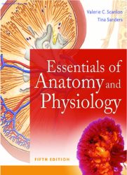 دانلود کتاب Essentials of Anatomy and Physiology