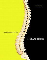 دانلود کتاب A Brief Atlas of the Human Body 2nd ed